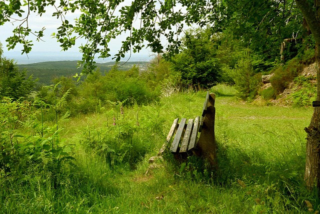 来赛季的一 来赛季的一