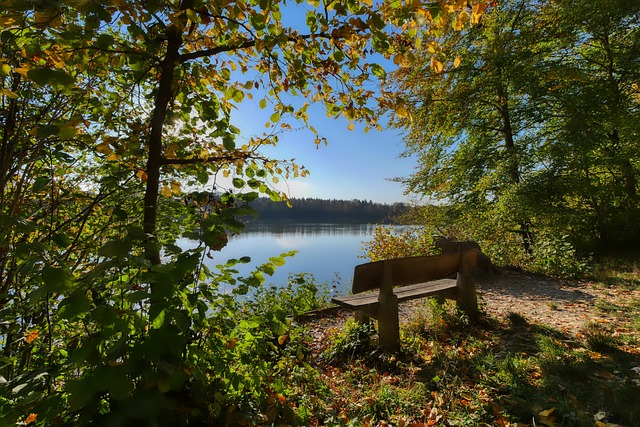 的舆论风波 的舆论风波